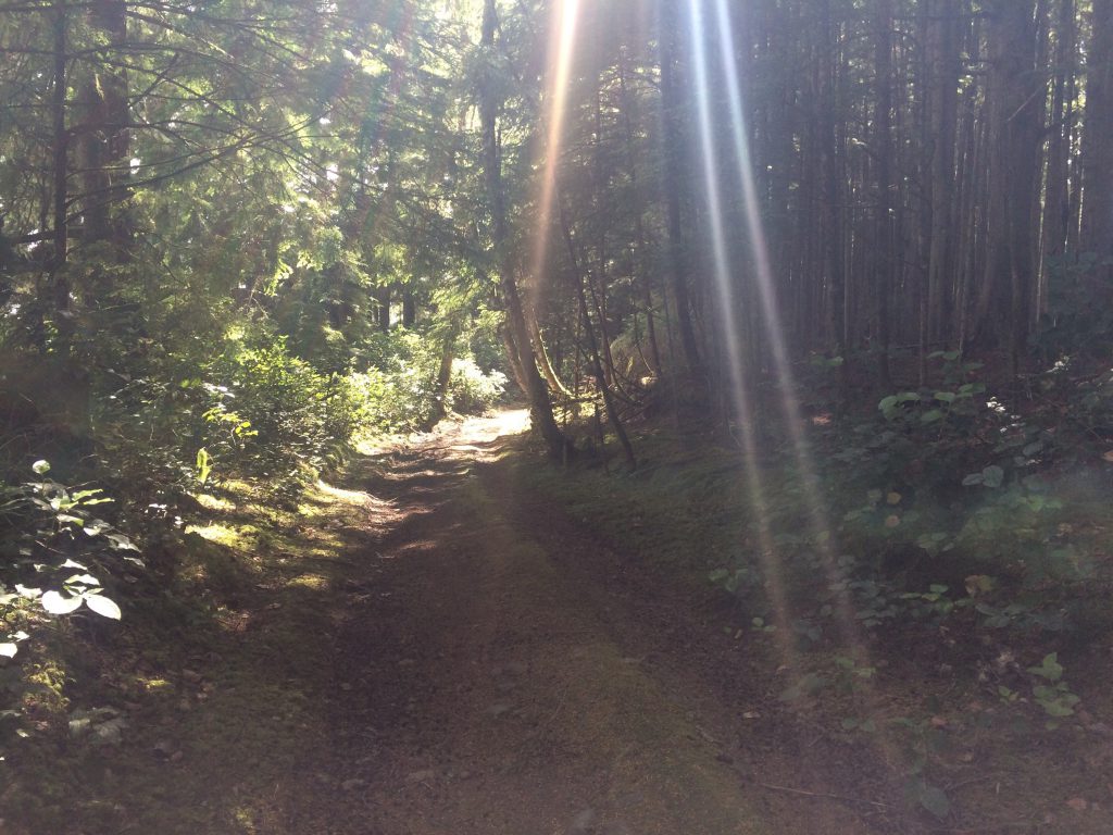 Malcolm island trail